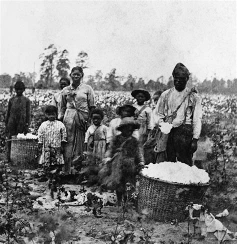 enslaved on English Caribbean sugar <strong>plantations</strong> in conditions much worse than any African had to ensure. . Different types of slaves on a plantation